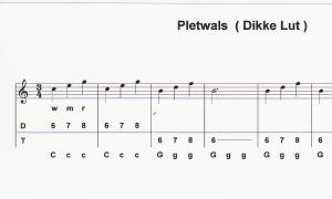 pletwals fragment